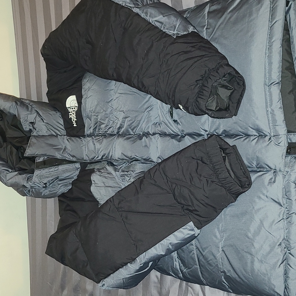 The North Face Down Parka Relaxed Fit Coat - Picture 5 of 7